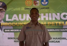 Dari Kandang Ayam, Siswa SMK Mappi Belajar Mandiri dan Raup Uang Saku
