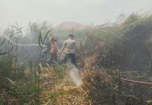 Petugas Gabungan Kendalikan Kebakaran Lahan di Merauke
