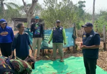 Dorong Ekonomi Hijau, Patriot UGM Sulap Kulit Kopi Jadi Pupuk Kompos Organik