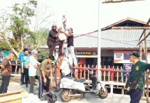 Jaringan Telkomsel Dukung Penuh Festival Asmat Pokman ke-38 di Kabupaten Asmat.
