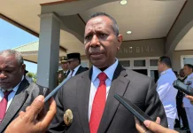 Gubernur Papsel Imbau Warga Tak Bakar Lahan