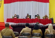 Kabut Asap Ganggu Penerbangan, Bupati Asmat Khawatir Ganggu Festival Asmat Pokman