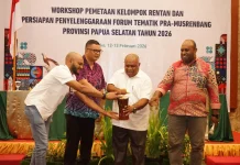 Pemprov Papua Selatan Kawal Hasil Pemetaan Kelompok Rentan