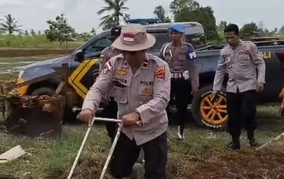 Tanam Jagung, Polisi Dukung Ketahanan Pangan Petani