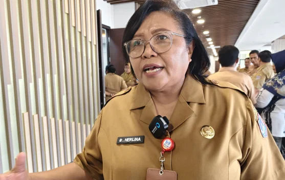 Pemprov Papua Selatan Segera MoU Bersama Tujuh Rumah Sakit Jejaring