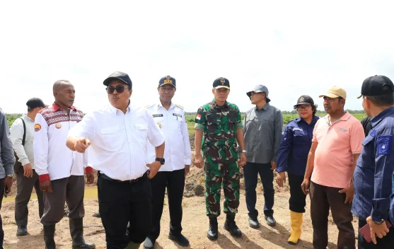 Gubernur Apolo-Ditjen Lahan dan Irigasi Tinjau Cetak Sawah di Waninggap Kai