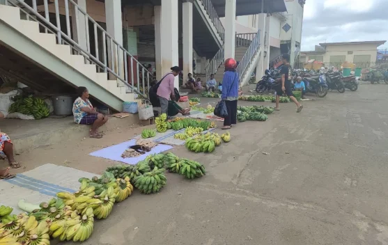 Inilah Harga Bapok Hasil Pertanian Di Merauke