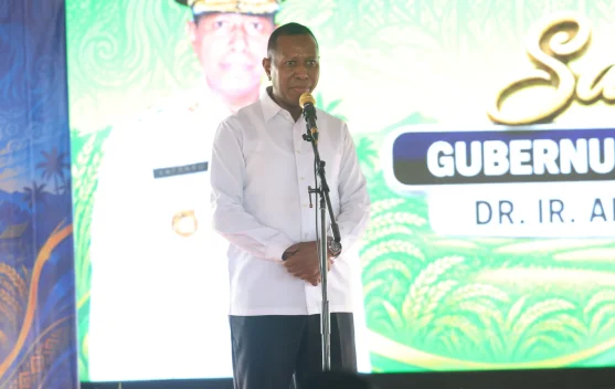 Pemprov Papua Selatan Siap Dukung Program Ketahanan Pangan Nasional di Merauke
