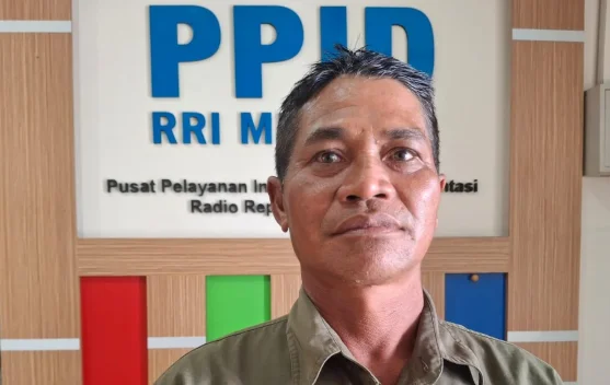 Kekeringan Ancam Hasil Panen Padi