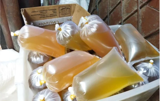 Segini Harga Minyak Goreng di Pasar Kabupaten Merauke