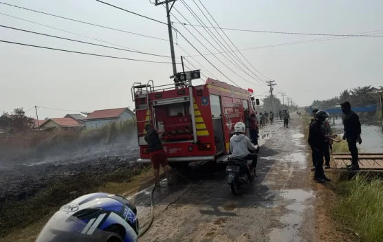 Karhutla di Merauke Sempat Ancam Permukiman Warga