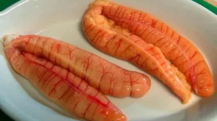 Manfaat Telur Ikan yang Jarang DiKetahui