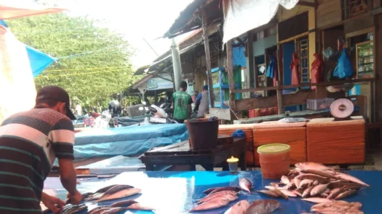 Pasokan Menipis, Harga Ikan Segar di Aceh Barat Naik hingga 60 Persen