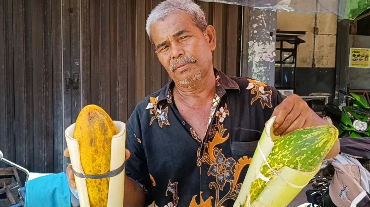 Pedangang Buah Timun Kapur Bermunculan di Pasar Meulaboh