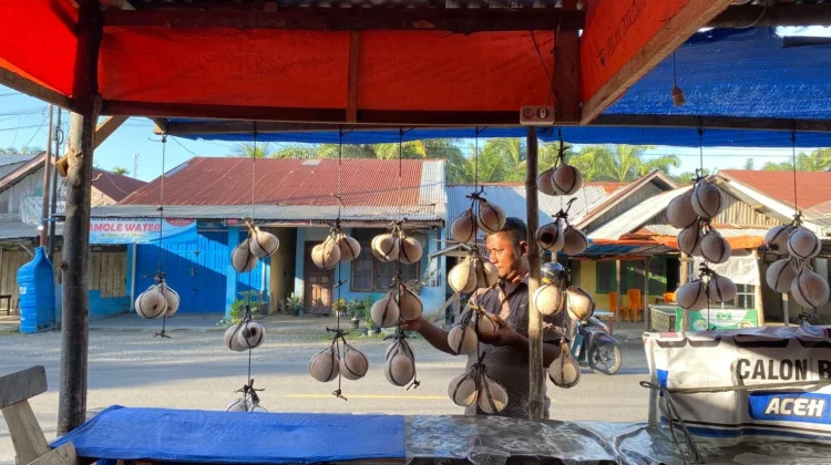 Permintaan Kelapa Muda Bakar Meningkat saat Ramadan di Aceh Barat