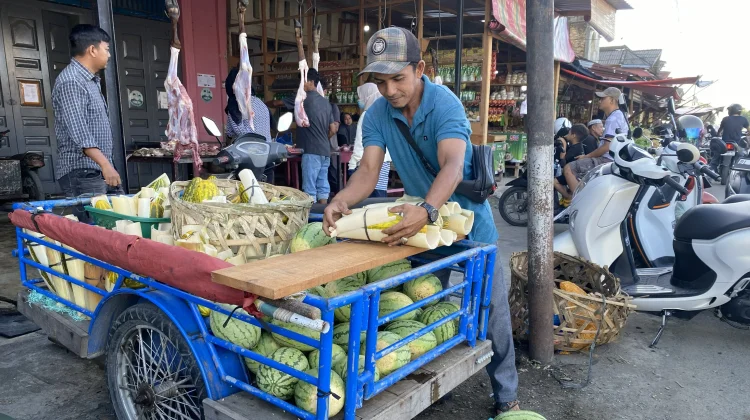 Pedagang Timun Suri Musiman Ramai saat Ramadan di Meulaboh
