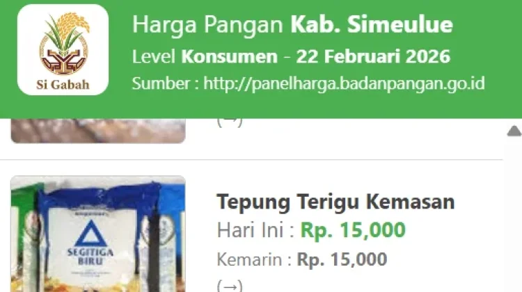 Harga Pangan di Simeulue Stabil, Daging Sapi Bertahan di Rp180 Ribu per Kilogram