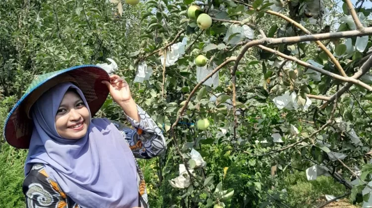 Pertanian Organik Jadi Solusi Krisis Lingkungan