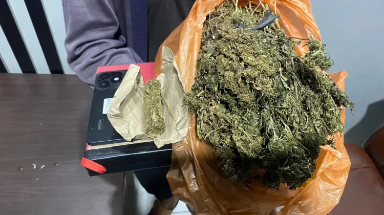 Satresnarkoba Polres Aceh Barat Tangkap Pelaku Penyalahgunaan Ganja