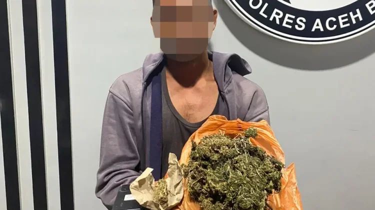 Satresnarkoba Polres Aceh Barat Tangkap Pelaku Penyalahgunaan Ganja