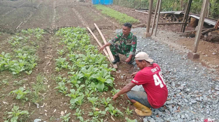 Babinsa Bantu Masyarakat Optimalkan Lahan Tidur Menjadi Produktif