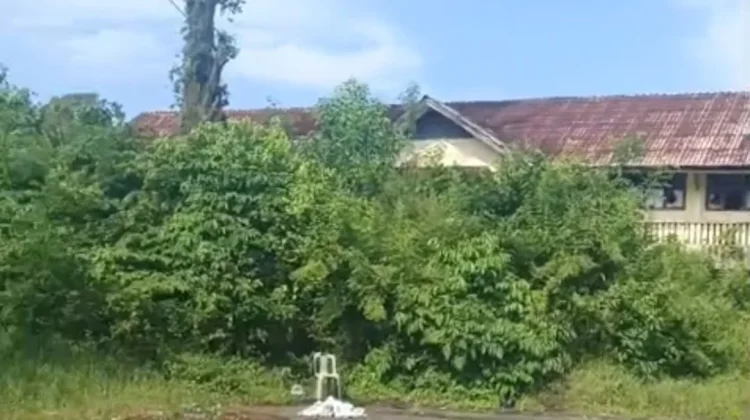 Warga Keluhkan Bangunan Bekas Sekolah Terbengkalai Menjadi Hutan Kota Meulaboh