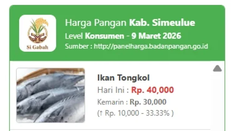 Harga Ikan Tongkol di Simeulue Naik Signifikan