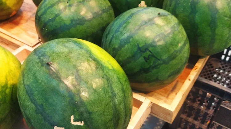 Semangka Pelepas Dahaga, Jadi Primadona Buah Selama Bulan Ramadhan