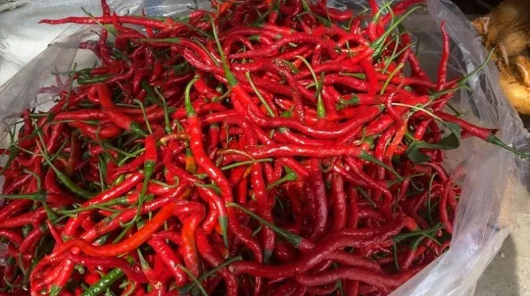 Harga Cabai dan Ayam Naik, Harga Beras di Meulaboh Masih Stabil