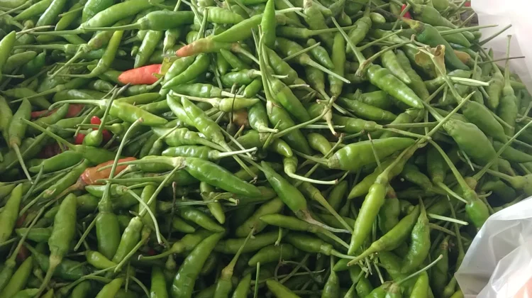 Harga Cabai di Pasar Aceh Barat Stabil