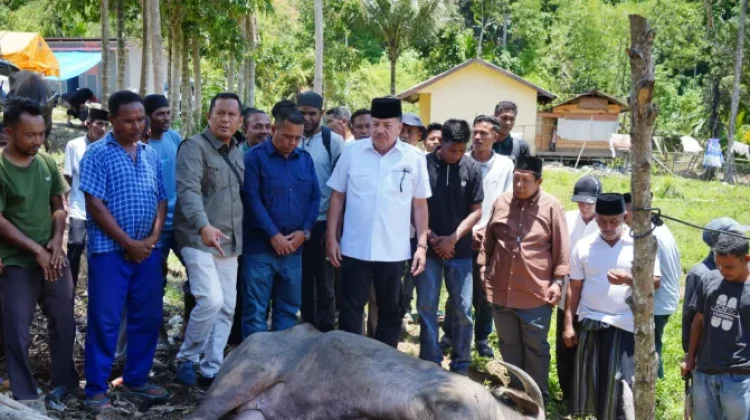 Bupati TRK Salurkan Bantuan Daging Meugang dari Presiden Prabowo