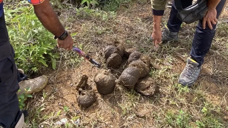Ledakan Petasan Halau Gajah di Pedalaman Aceh Barat