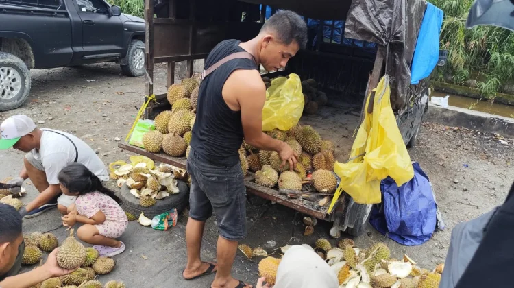 Sensasi Durian Salah Musim yang Manis Menggugah Selera