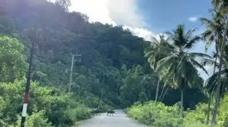 Mapala Seuramo Raya Jelajah Alam Ekspedisi Dolok Sibau