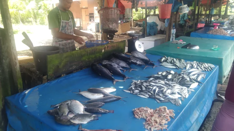 Harga Ikan Segar di Meulaboh Naik 20 Persen Pasca lebaran