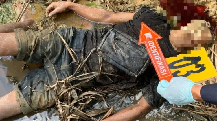 Warga Nagan Raya Geger Temukan Mayat di Kebun Sawit