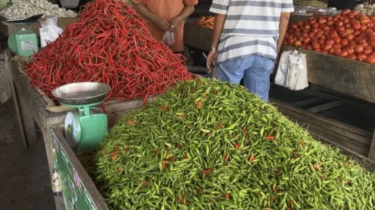 Pasca Lebaran Idul Fitri Harga Cabai Kembali Normal