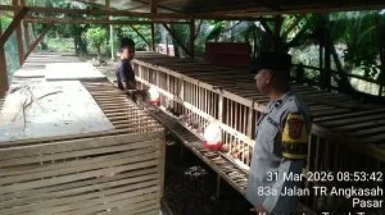 Dukung Ketahanan Pangan, Bhabinkamtibmas Polsek Tapaktuan Sambangi Peternak
