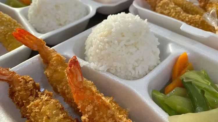 Wadah Makanan Styrofoam Berdampak Negatif Bagi Kesehatan Tubuh.