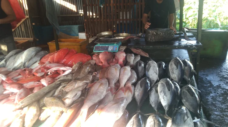Harga Ikan Segar di Meulaboh Naik Pascalebaran, Dipicu Minimnya Pasokan