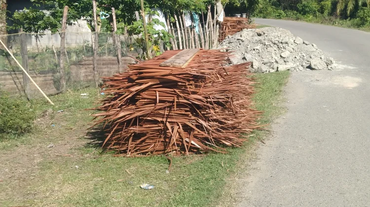 Daun Rumbia Tetap Diminati di tengah Modernisasi di Aceh Barat