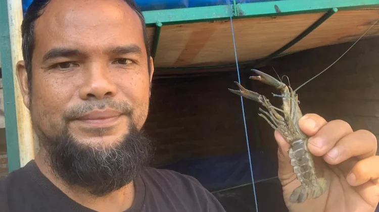 Budidaya Lobster Air Tawar Berpotensi Tingkatkan Ekonomi dan Ketahanan Pangan