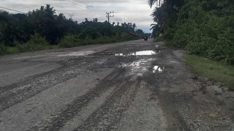Warga Keluhkan Jalan Meulaboh-Geumpang Rusak dan Berlubang