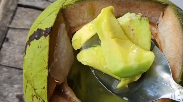 Intip Rahasia Racikan Air Kelapa Muda yang segarnya gak ada obat