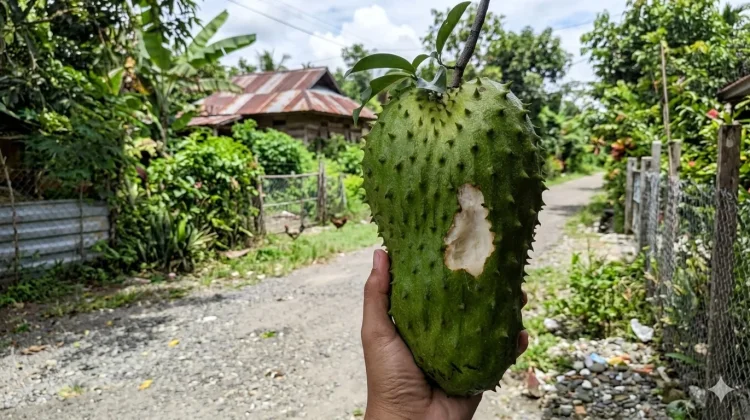 Mitos atau Fakta: Benarkah Buah Bekas Gigitan Tupai Rasanya Lebih Manis