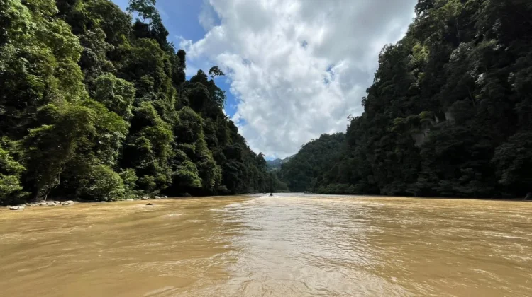 menuju Air Terjun Ceuraceu, Suguhan Alam Liar bak Amazon