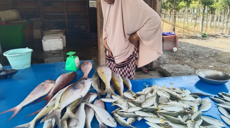 Harga Ikan Segar di Meulaboh Stabil, Pasokan Mencukupi