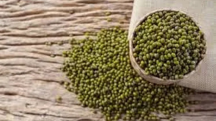 Kacang Hijau Nutrisi Sehat dalam Satu Genggaman