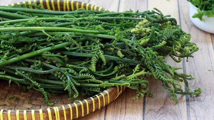 Sayur Pakis Rahasia Kesehatan Seimbang untuk Pria dan Wanita