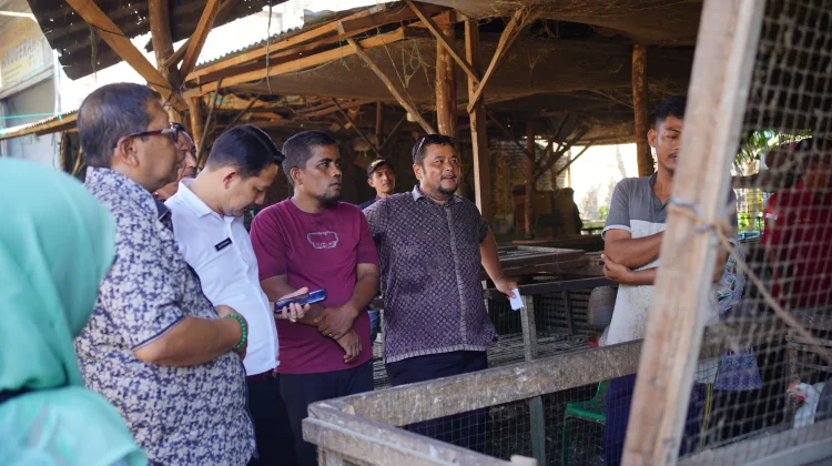 Pemkab Nagan Raya Pantau Harga Bahan Pokok dan Daging Ayam